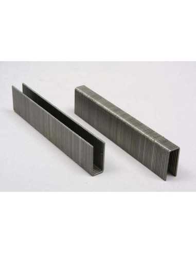 GRAMPA DORKING LINEA 100